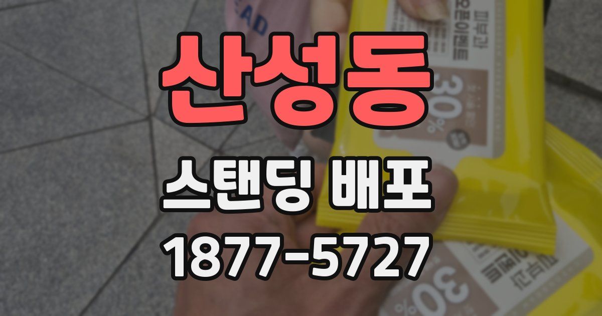 산성동 스탠딩 배포