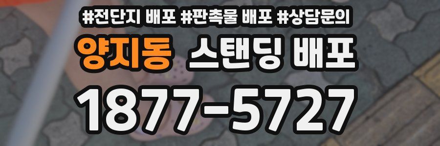 양지동 스탠딩 배포