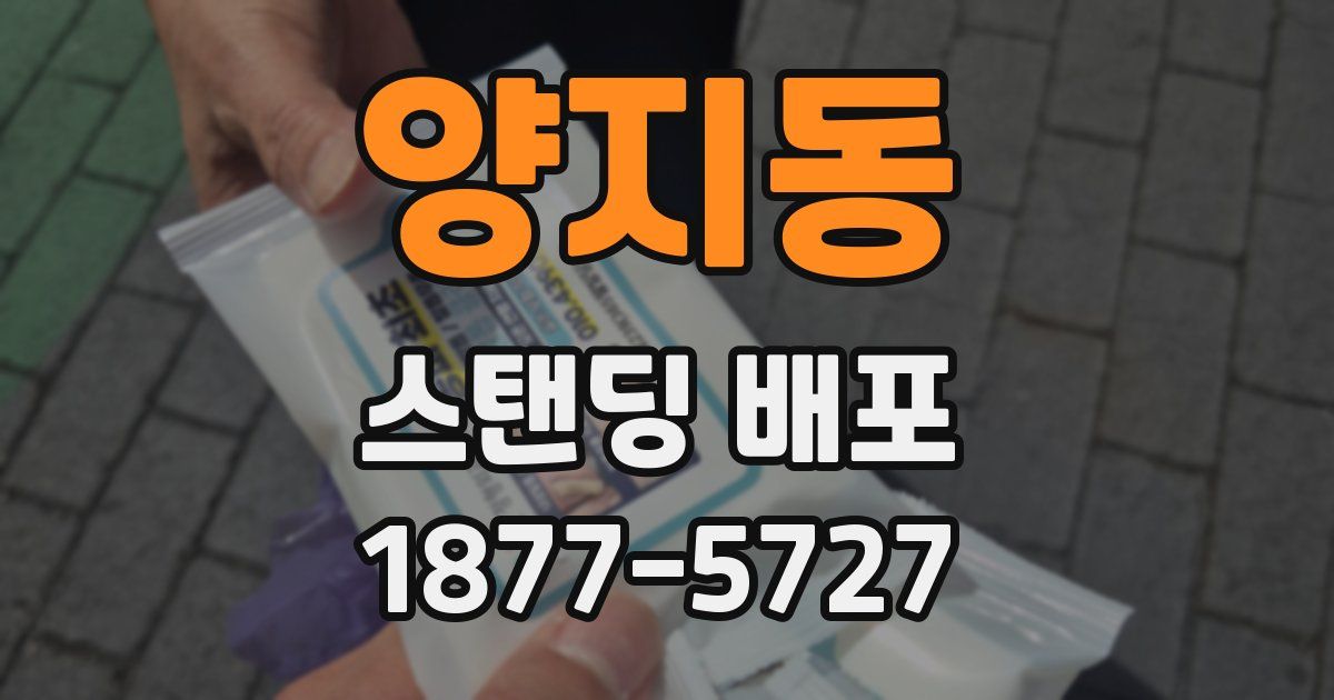 양지동 스탠딩 배포