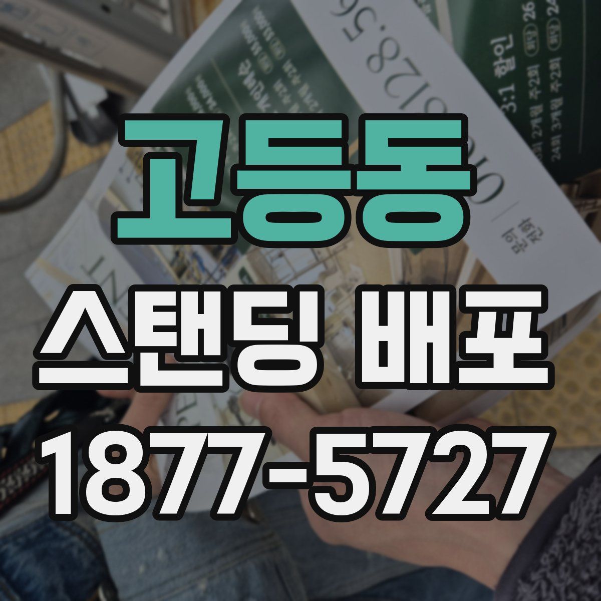 고등동 스탠딩 배포