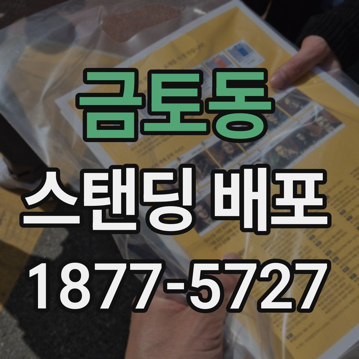 금토동 스탠딩 배포