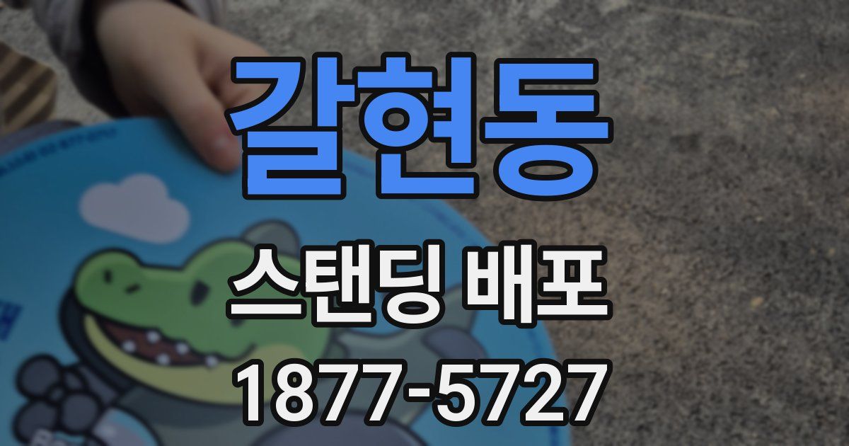 갈현동 스탠딩 배포
