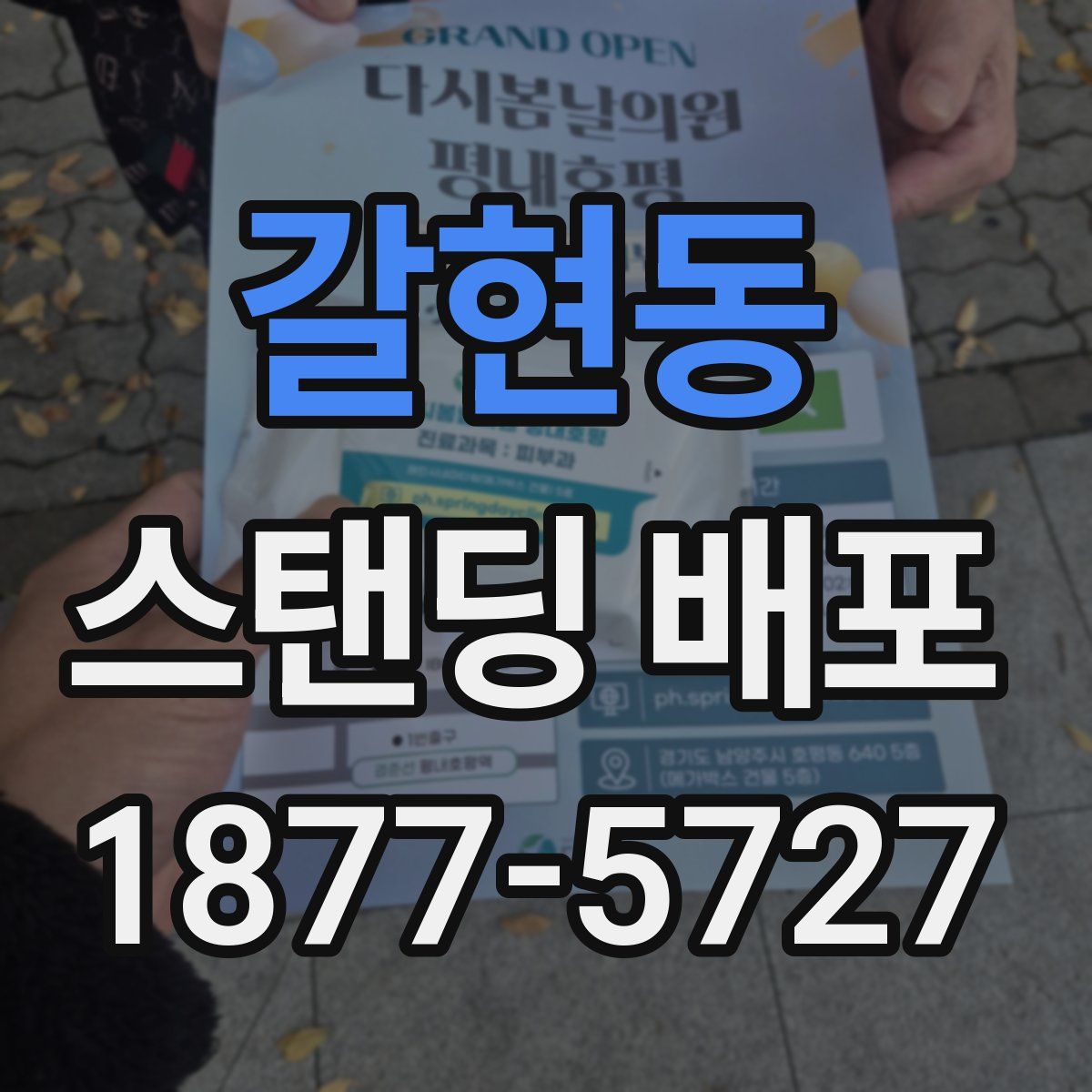 갈현동 스탠딩 배포
