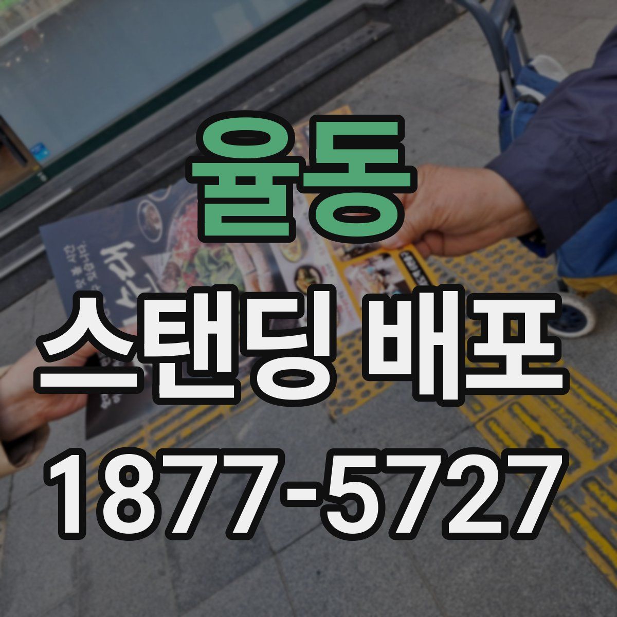 율동 스탠딩 배포