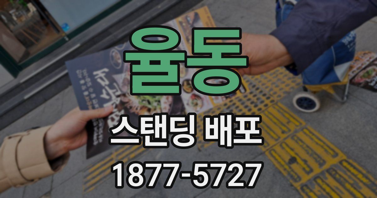 율동 스탠딩 배포