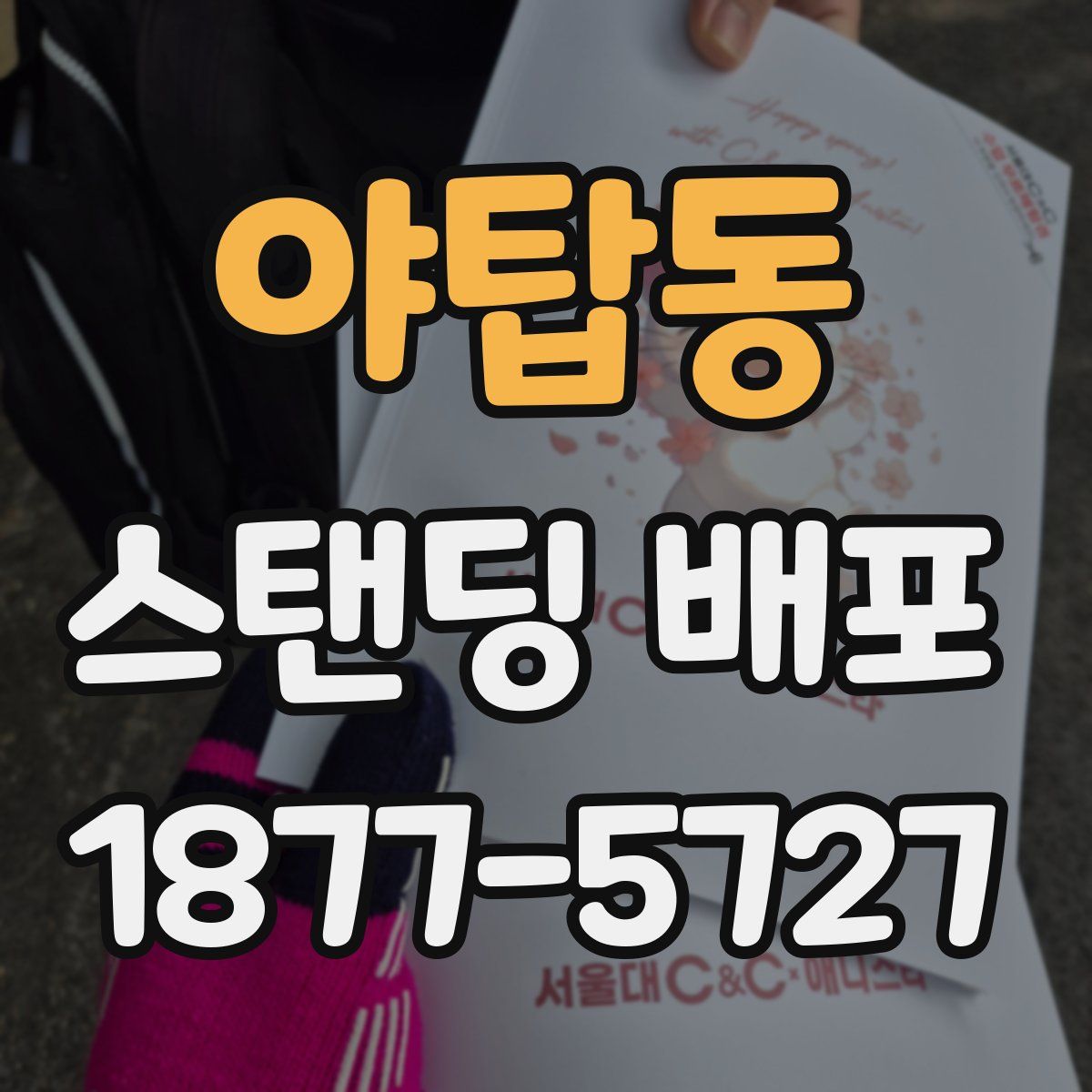 야탑동 스탠딩 배포