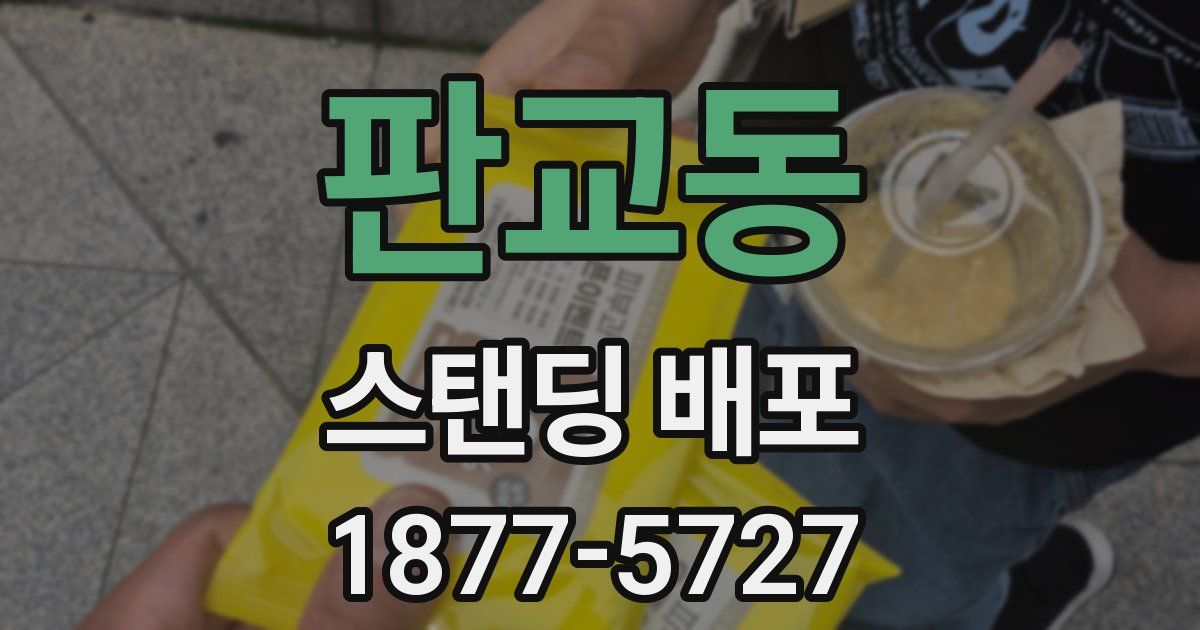 판교동 스탠딩 배포