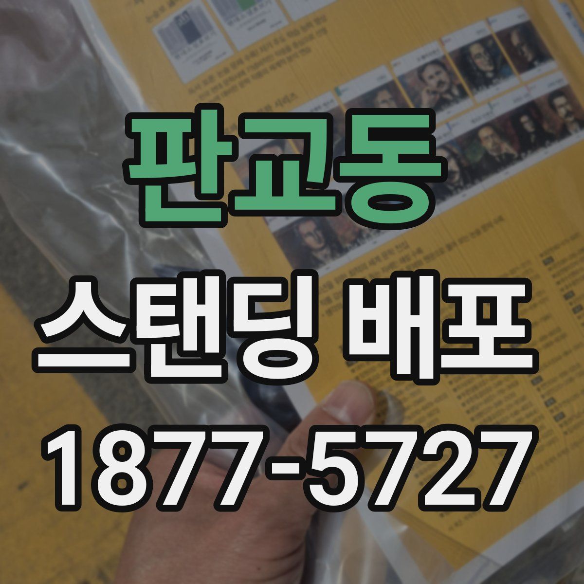 판교동 스탠딩 배포