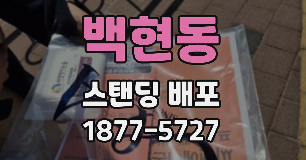 백현동 스탠딩 배포