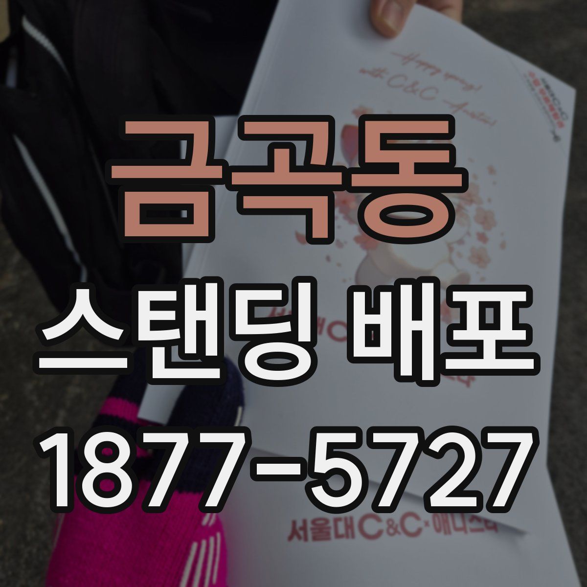금곡동 스탠딩 배포