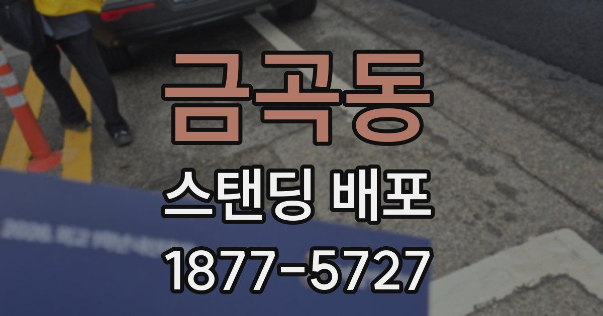 금곡동 스탠딩 배포