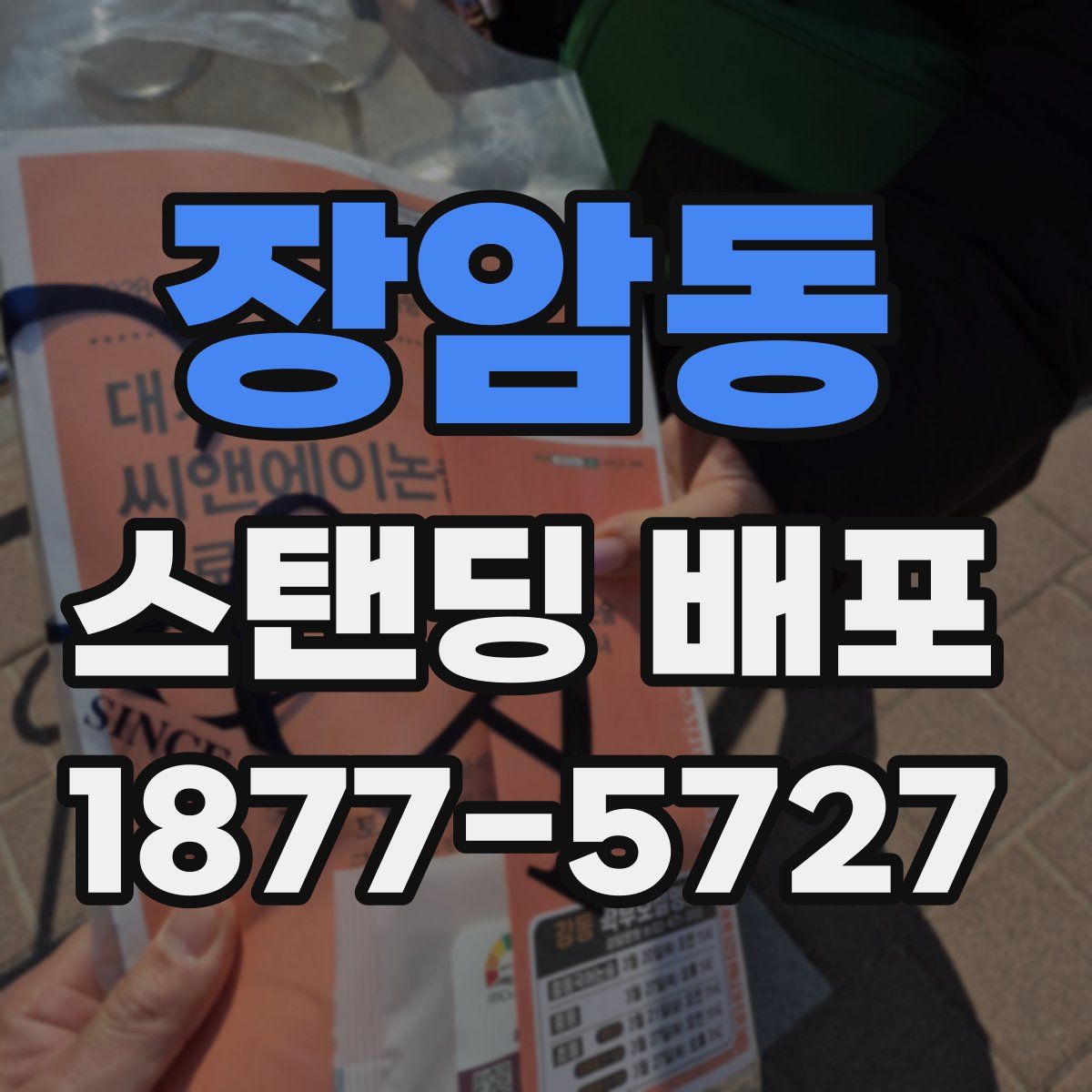장암동 스탠딩 배포