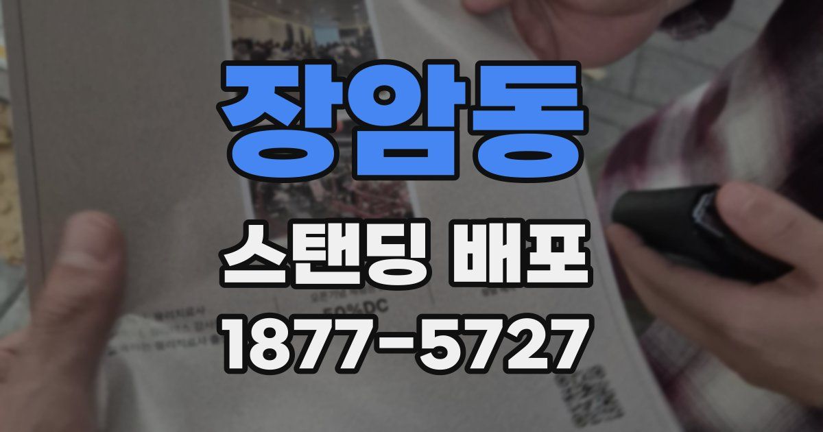 장암동 스탠딩 배포
