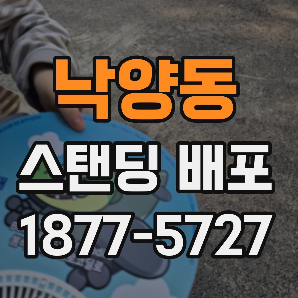 낙양동 스탠딩 배포