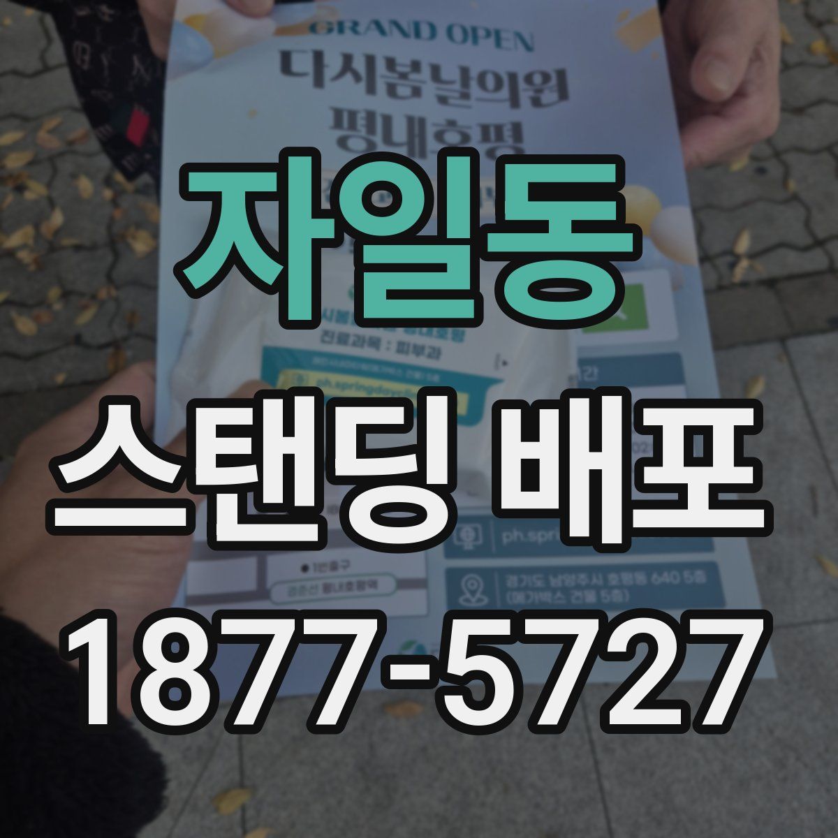 자일동 스탠딩 배포