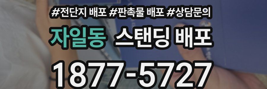 자일동 스탠딩 배포
