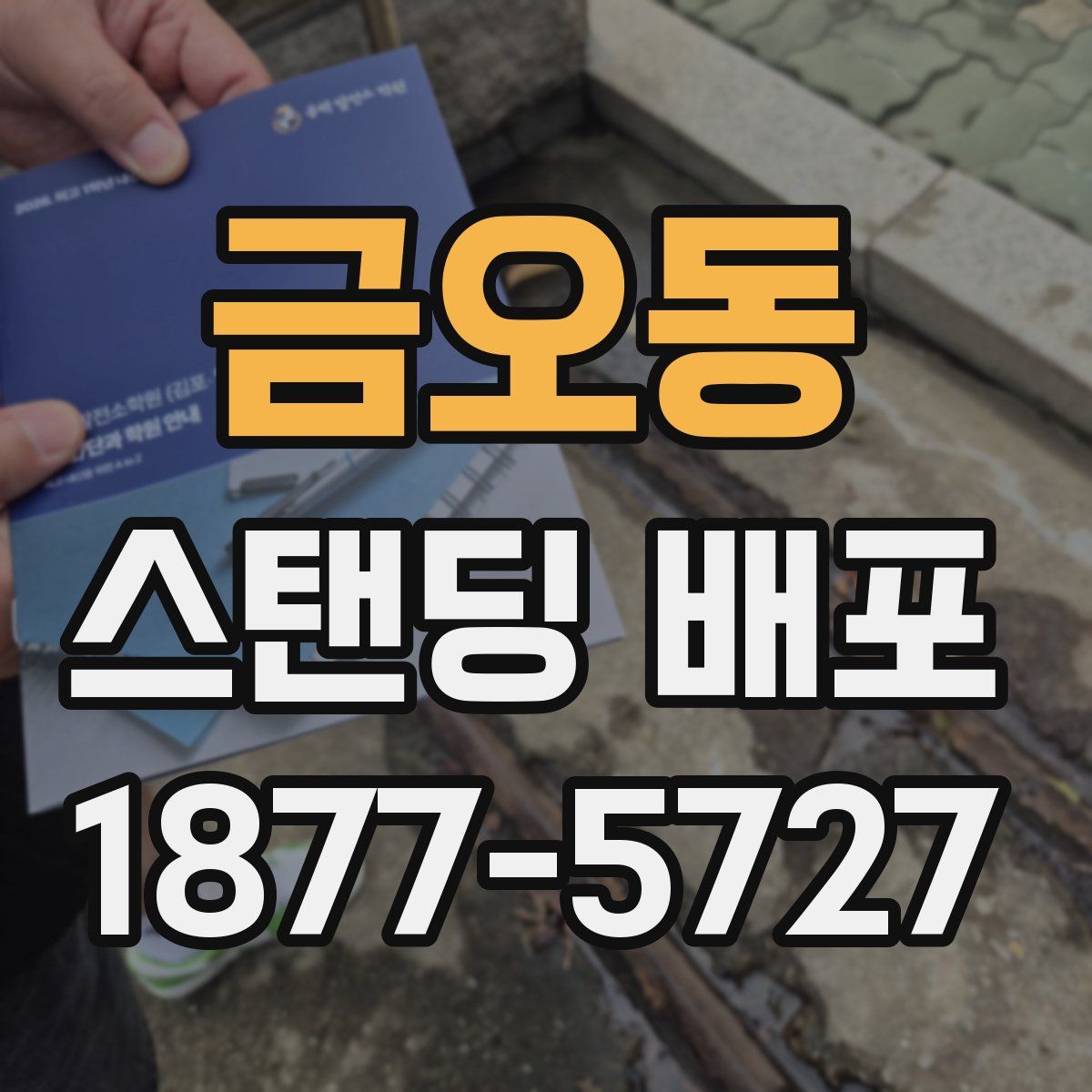 금오동 스탠딩 배포