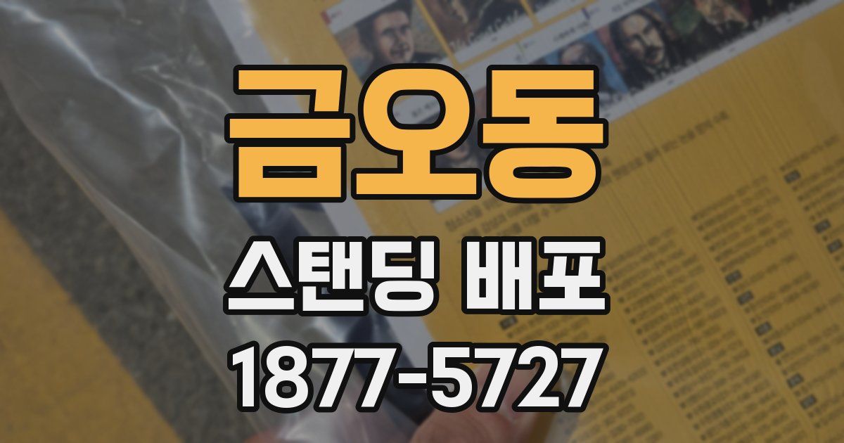 금오동 스탠딩 배포