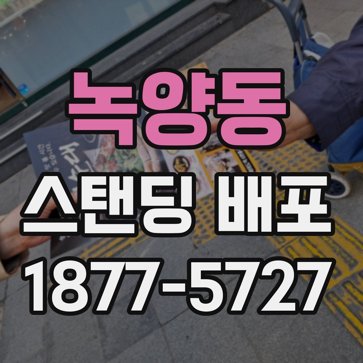녹양동 스탠딩 배포