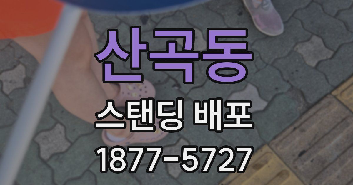 산곡동 스탠딩 배포