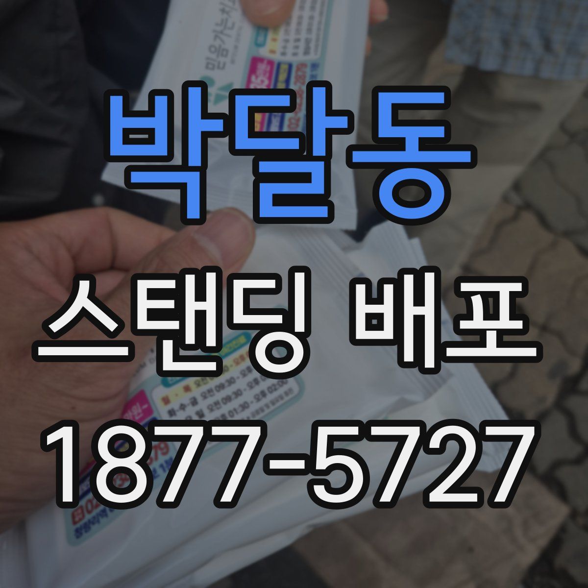 박달동 스탠딩 배포