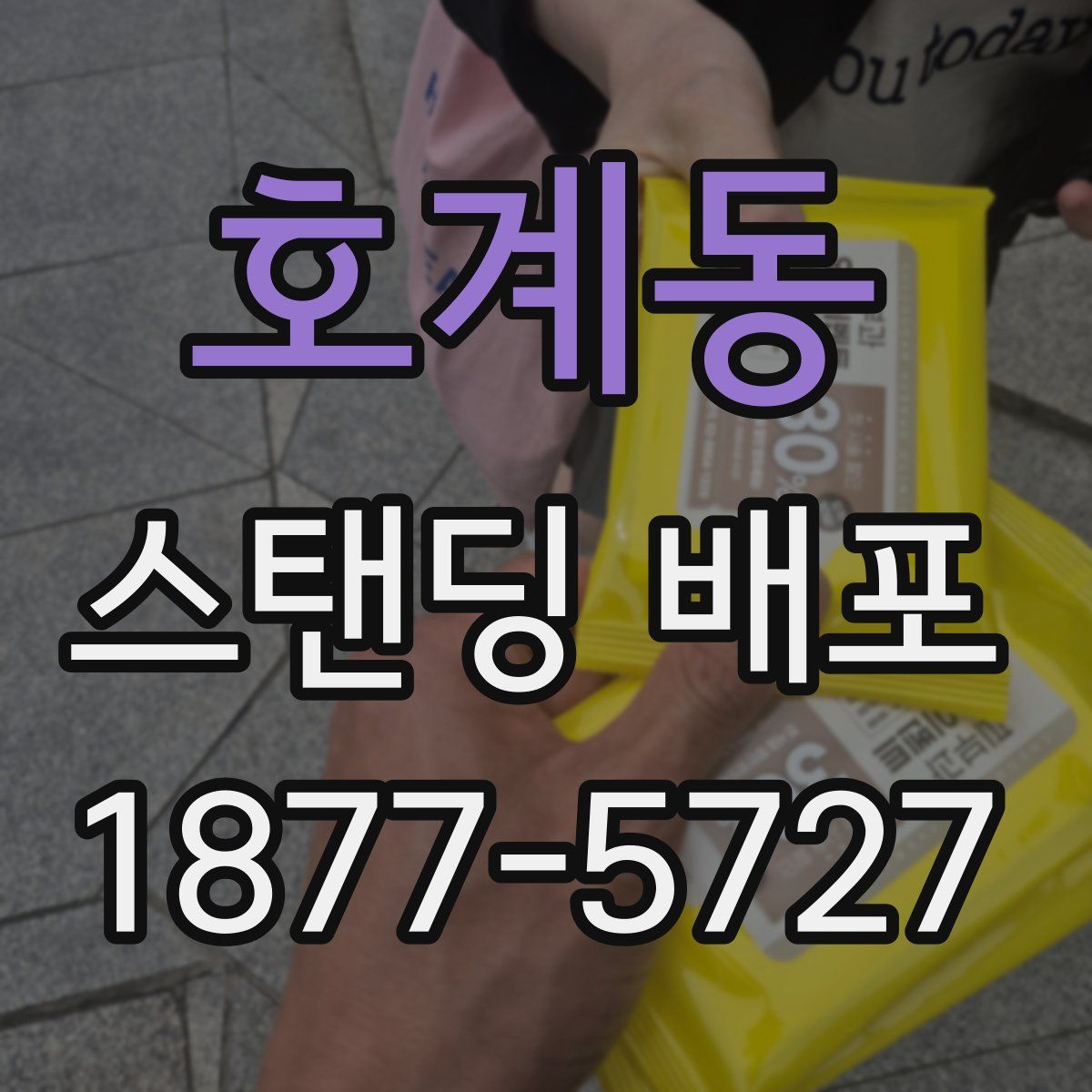 호계동 스탠딩 배포