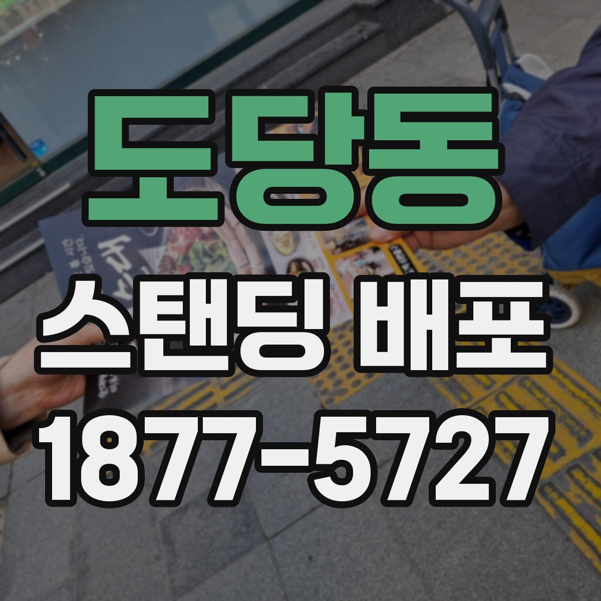 도당동 스탠딩 배포