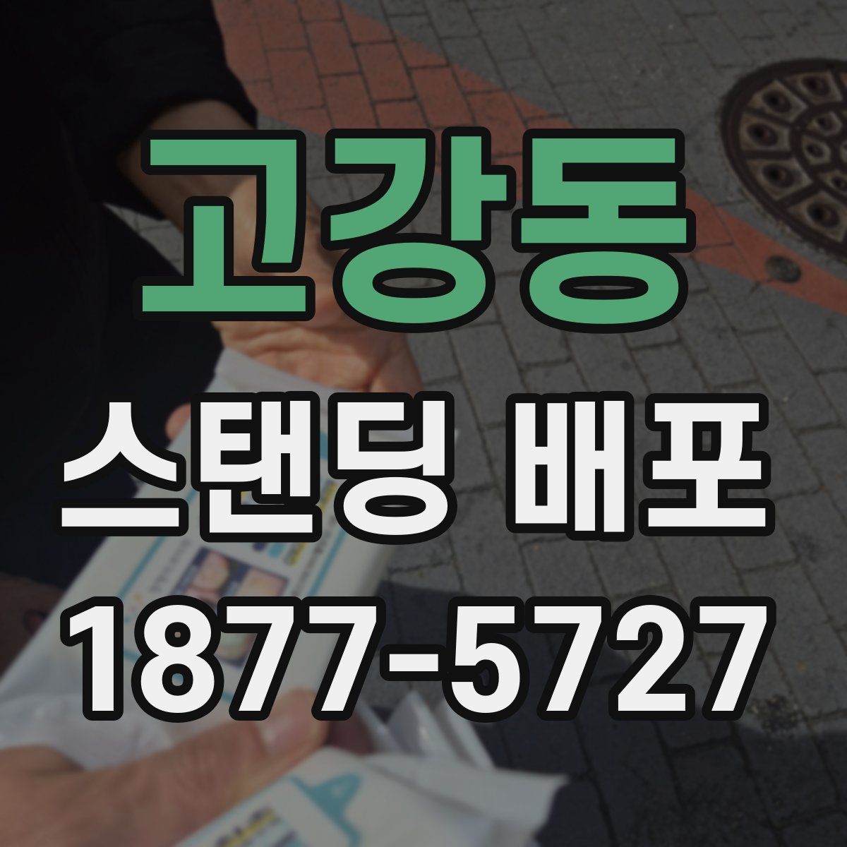 고강동 스탠딩 배포