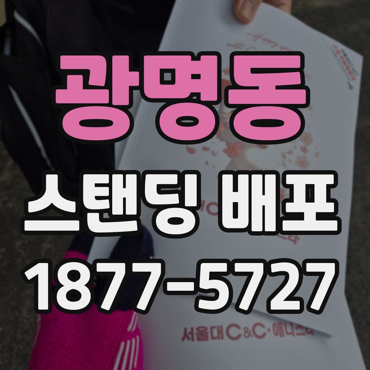 광명동 스탠딩 배포