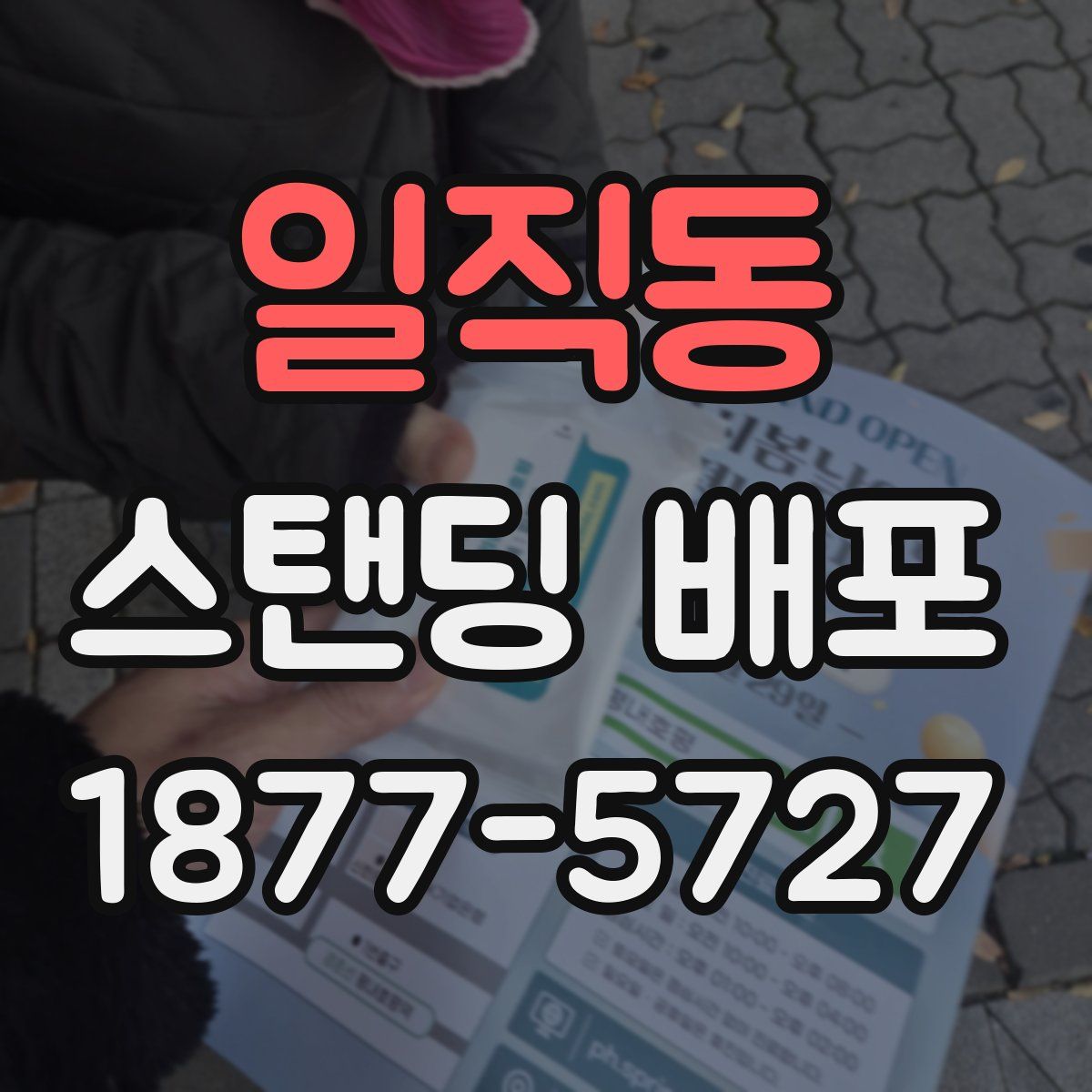 일직동 스탠딩 배포