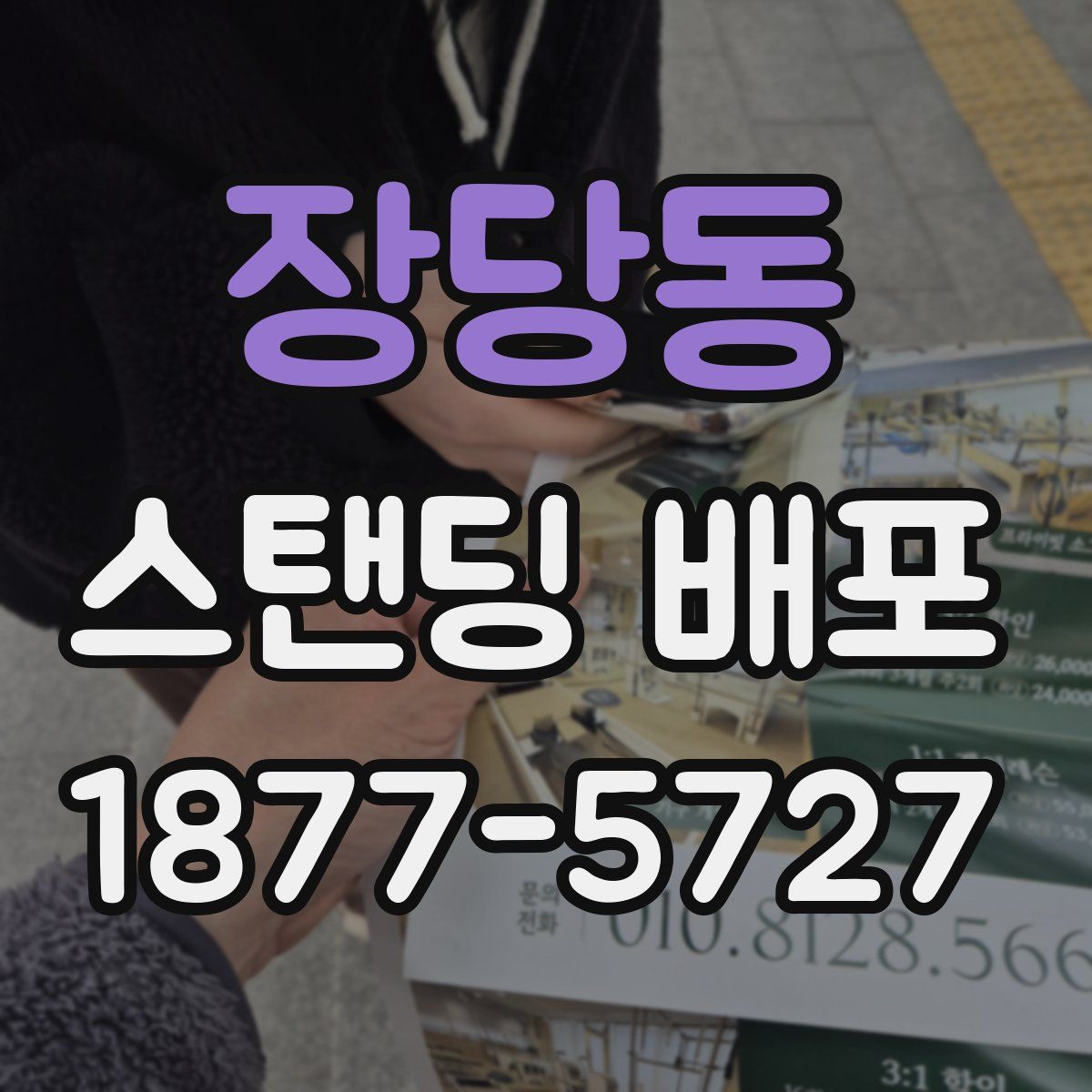 장당동 스탠딩 배포
