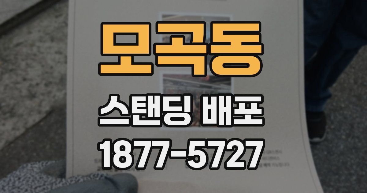 모곡동 스탠딩 배포