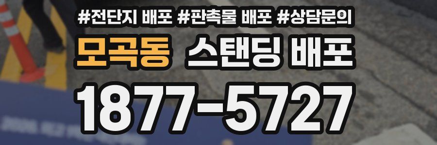 모곡동 스탠딩 배포