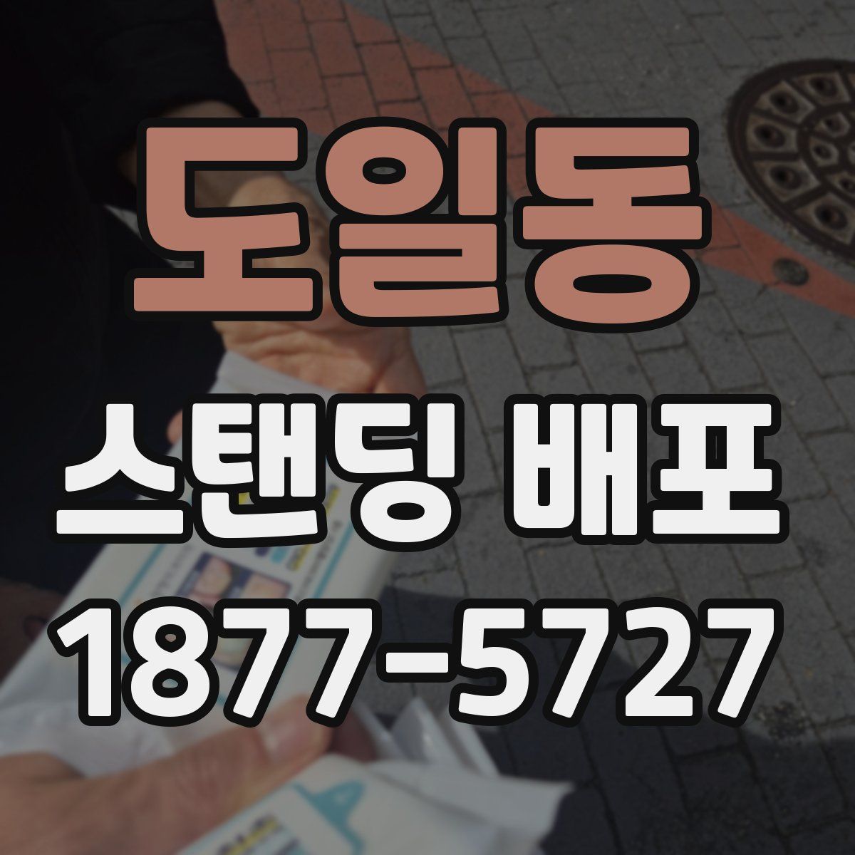 도일동 스탠딩 배포