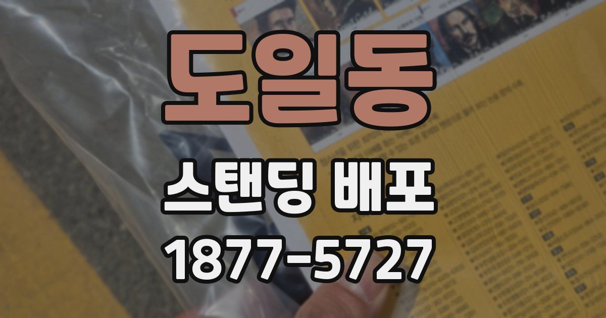 도일동 스탠딩 배포