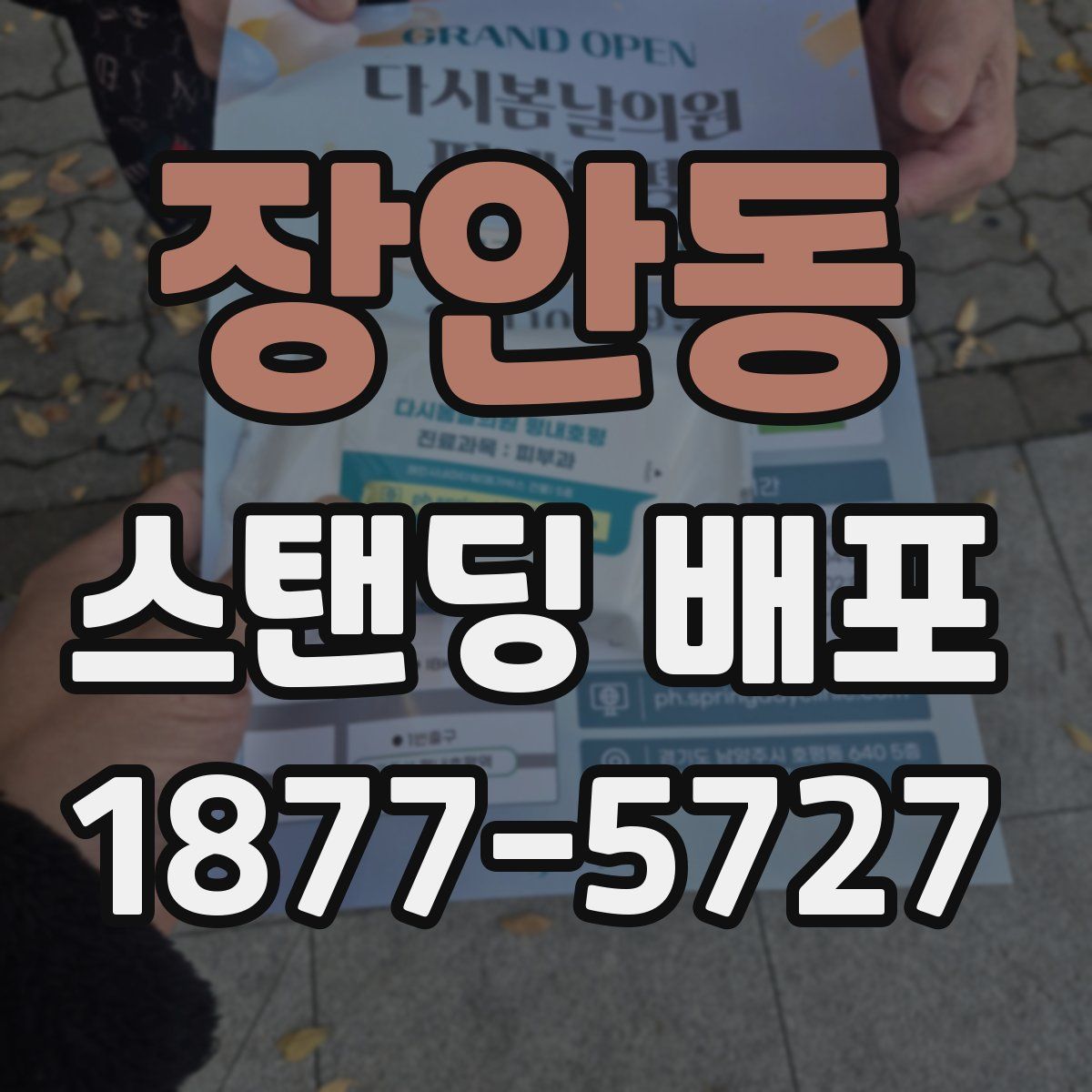 장안동 스탠딩 배포