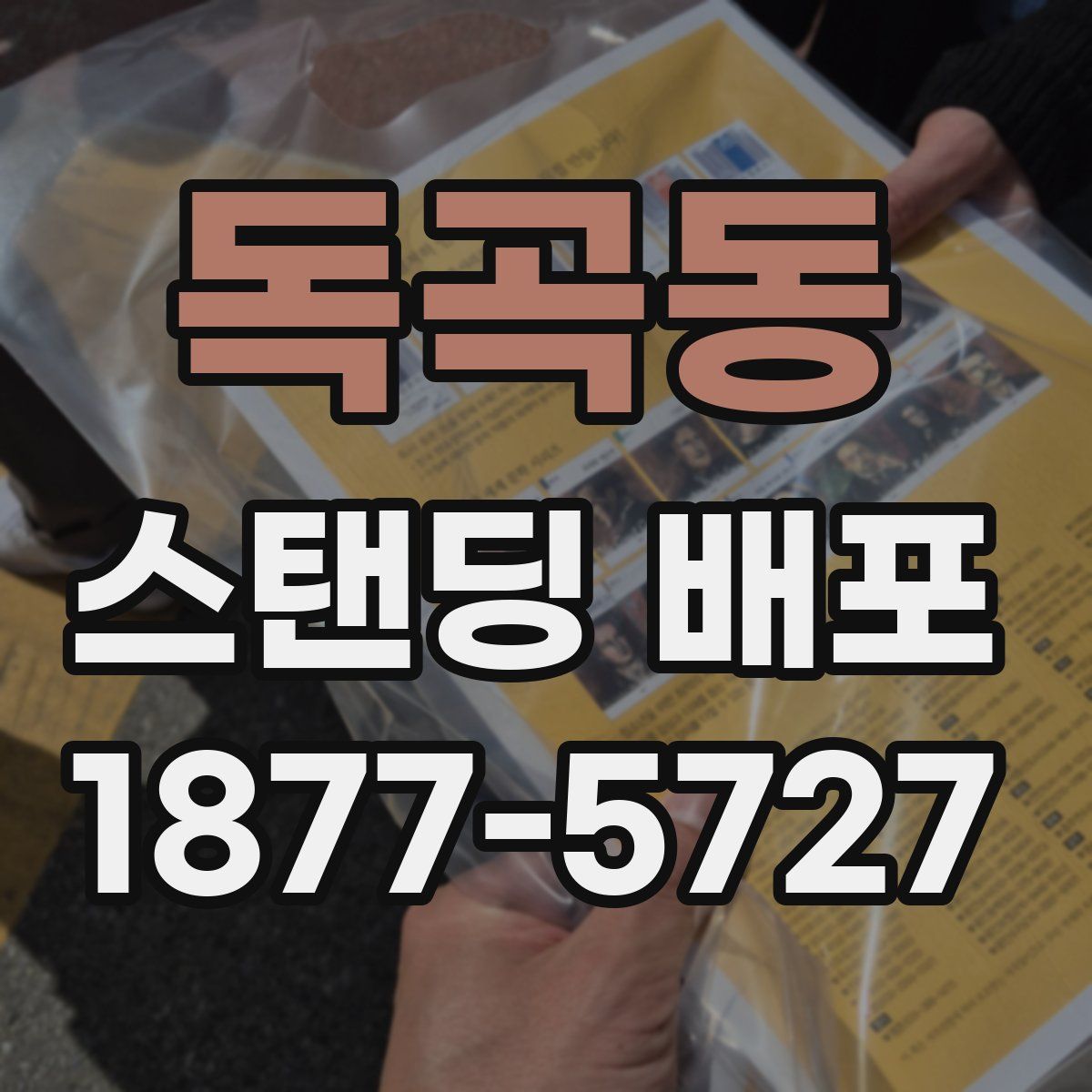 독곡동 스탠딩 배포