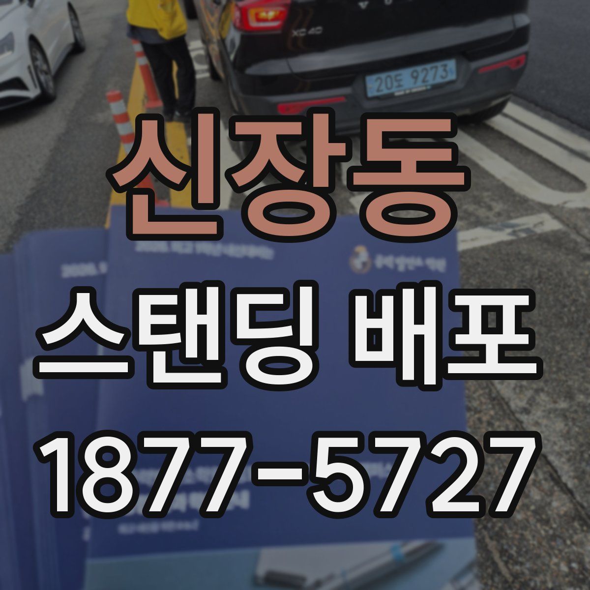 신장동 스탠딩 배포
