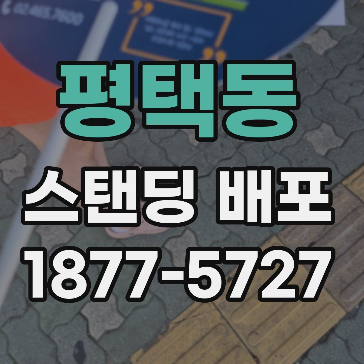 평택동 스탠딩 배포