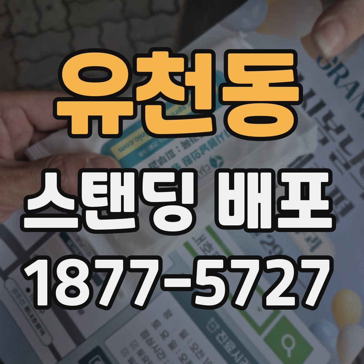 유천동 스탠딩 배포