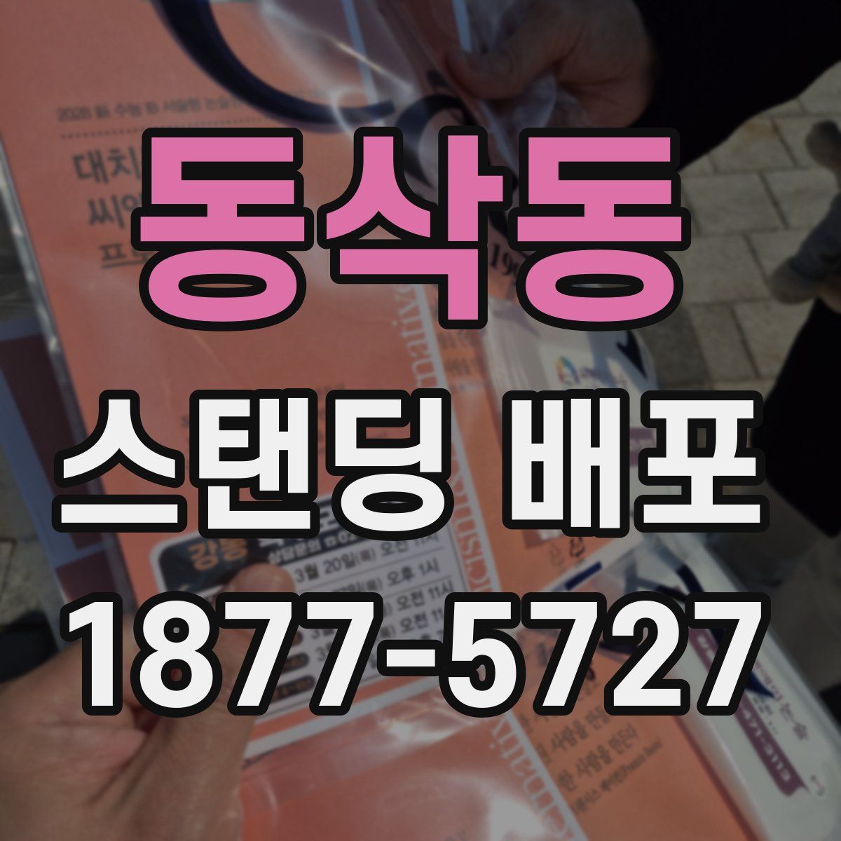 동삭동 스탠딩 배포