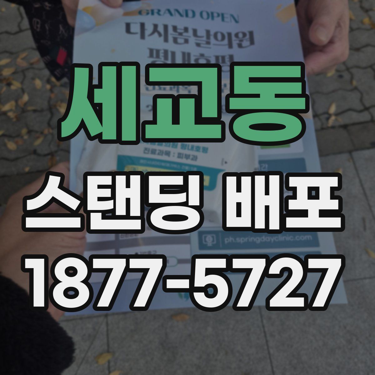 세교동 스탠딩 배포