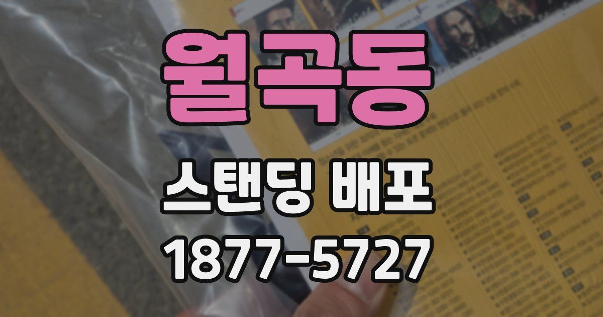 월곡동 스탠딩 배포