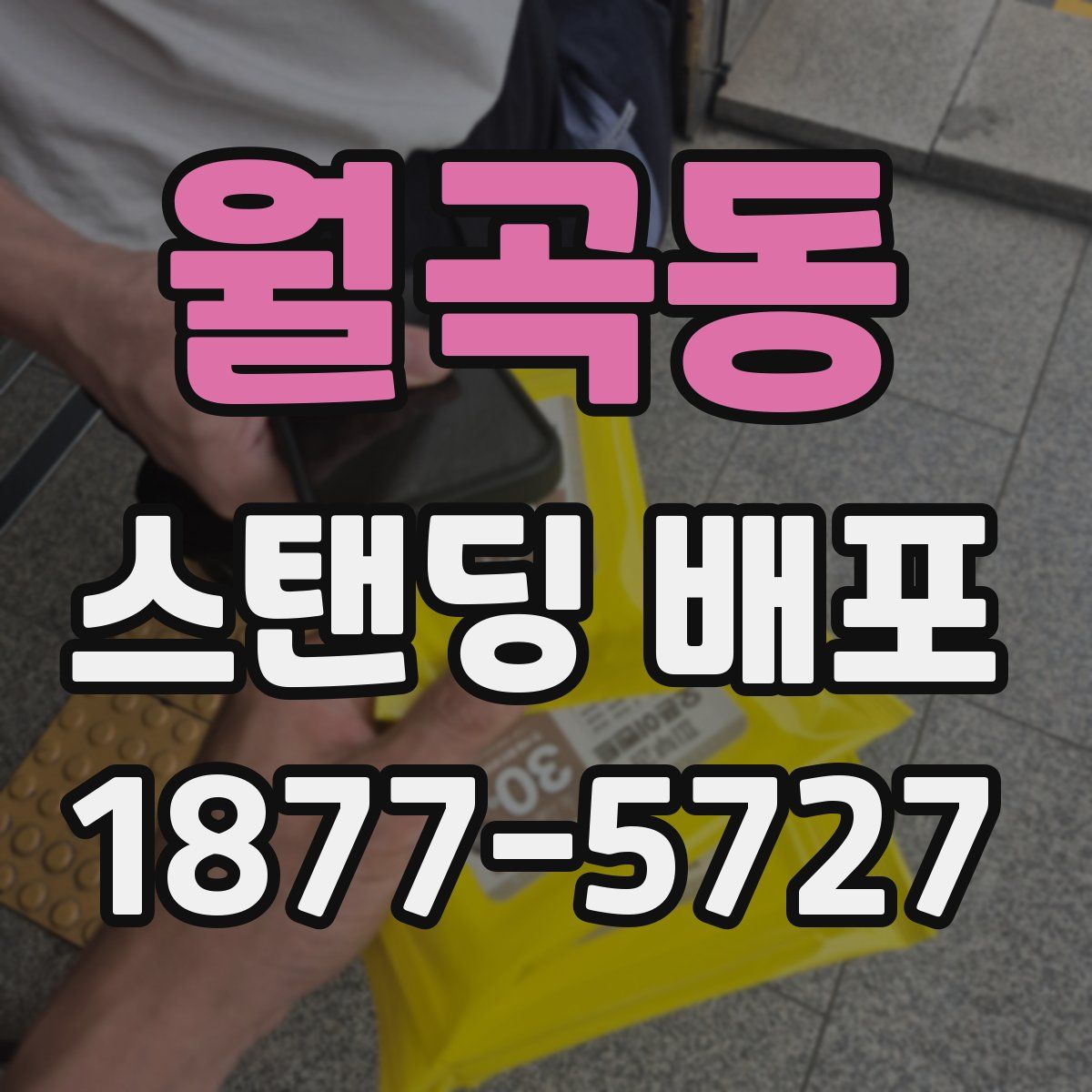 월곡동 스탠딩 배포
