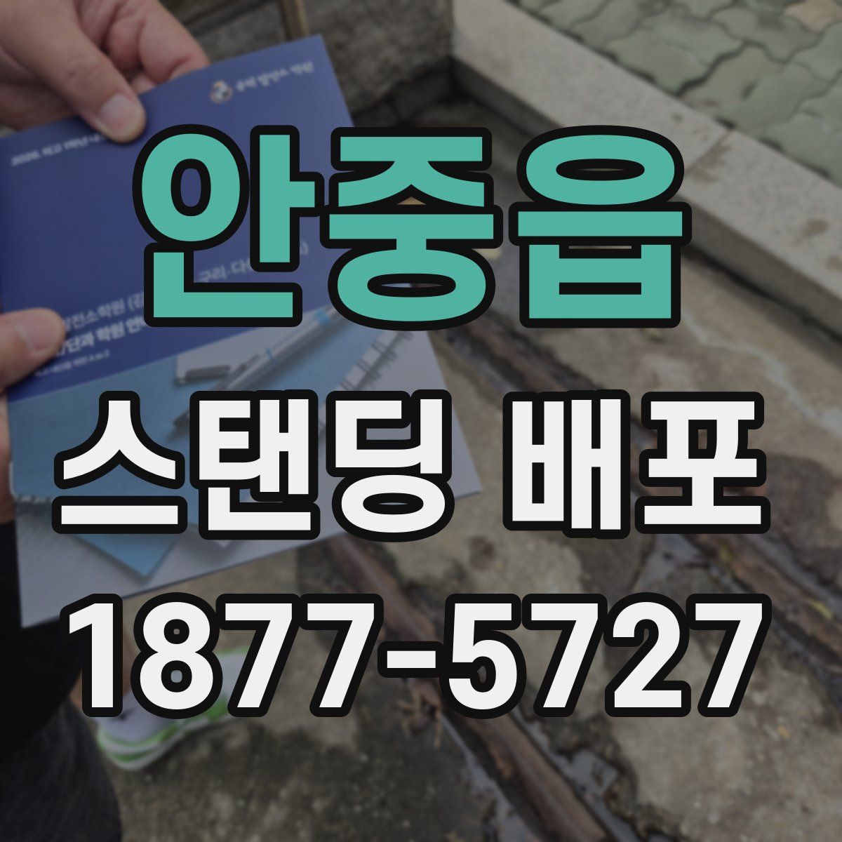 안중읍 스탠딩 배포