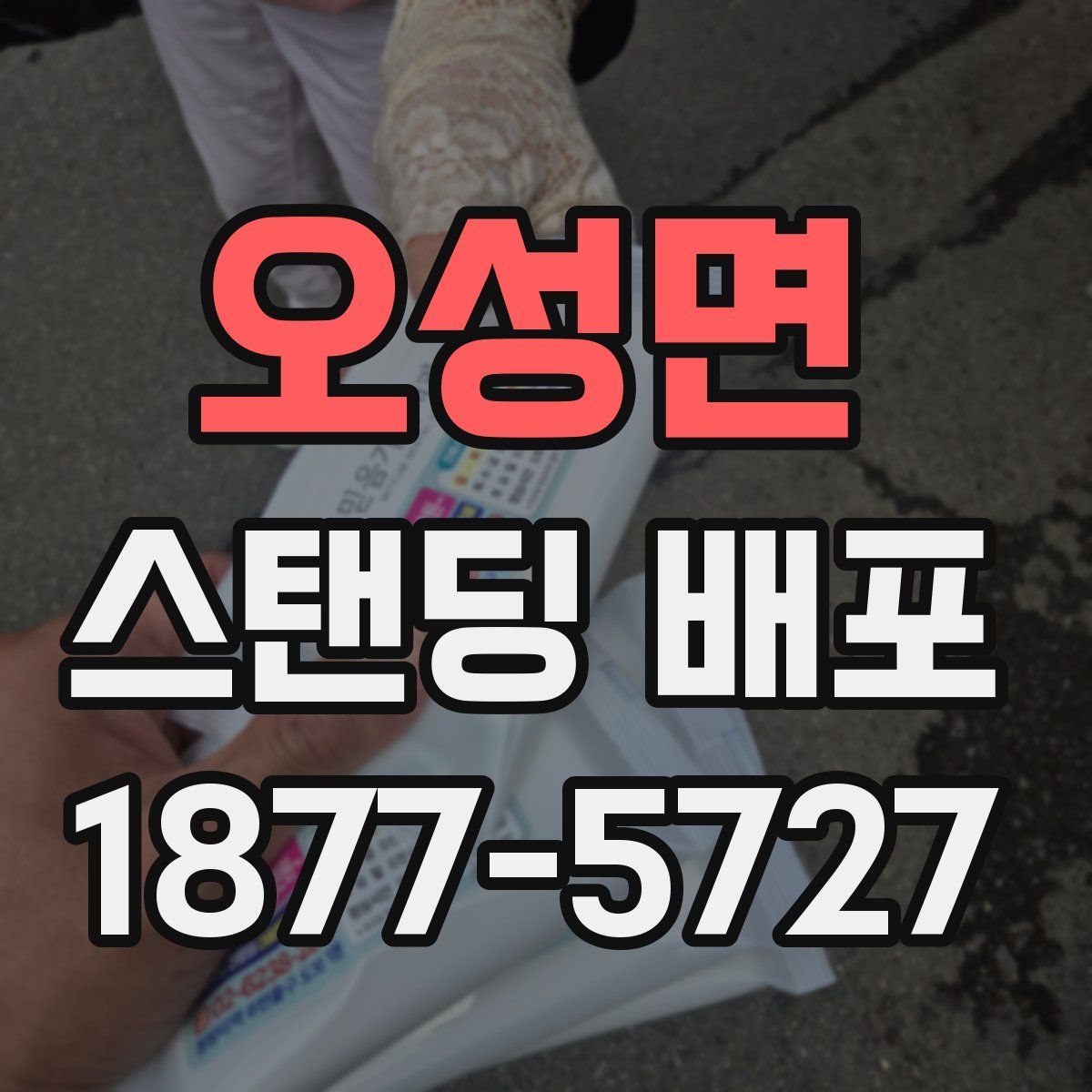 오성면 스탠딩 배포