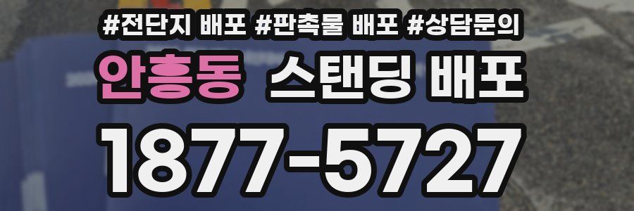 안흥동 스탠딩 배포
