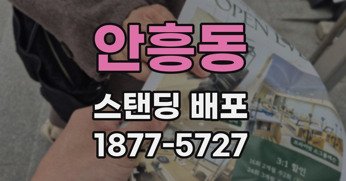 안흥동 스탠딩 배포