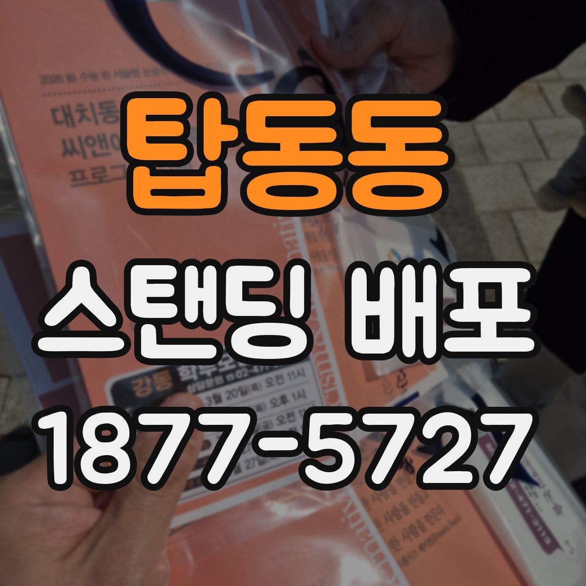 탑동동 스탠딩 배포