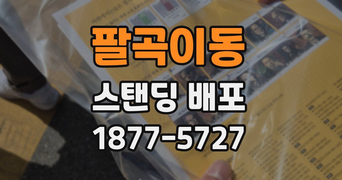 팔곡이동 스탠딩 배포